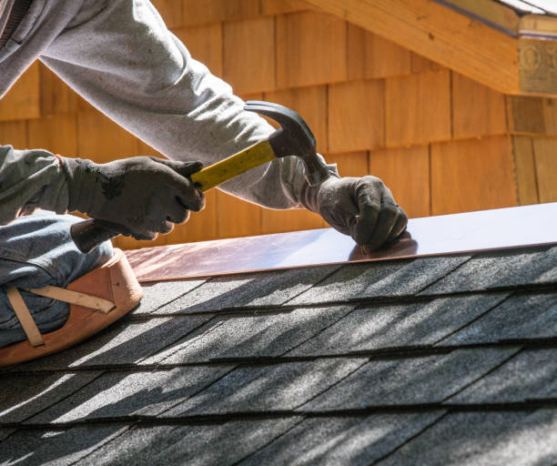 Roof Gutter Cleaning in Preston, TX